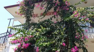 Pansiyon Binamız ve Odalarımız